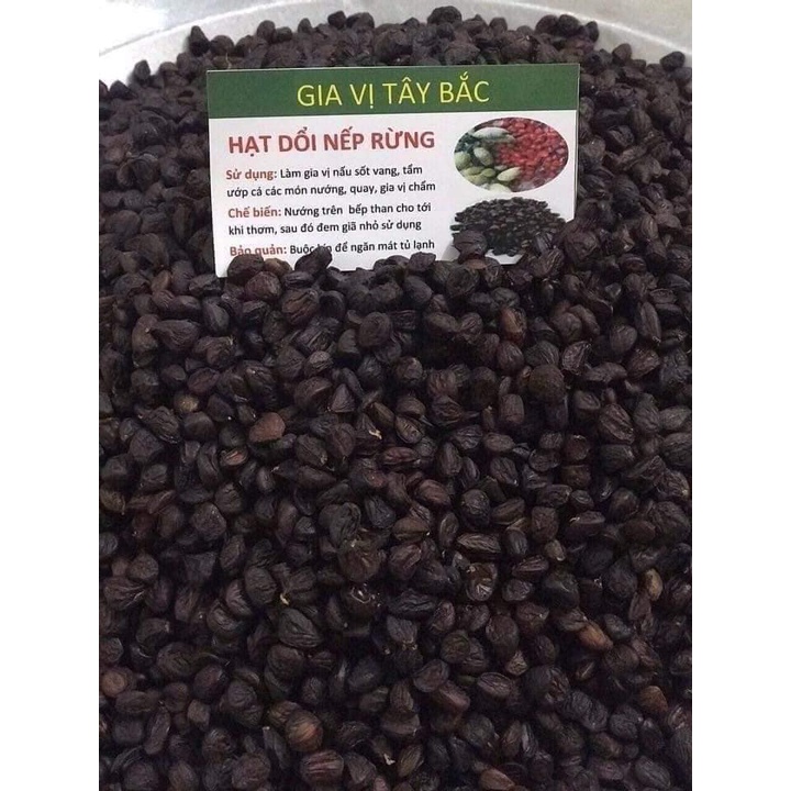 500g Hạt dổi rừng, hạt dổi, gia vị tây bắc, gia vị chấm, muối chấm, nước chấm, tẩm ướp thực phẩm cho mọi nhà