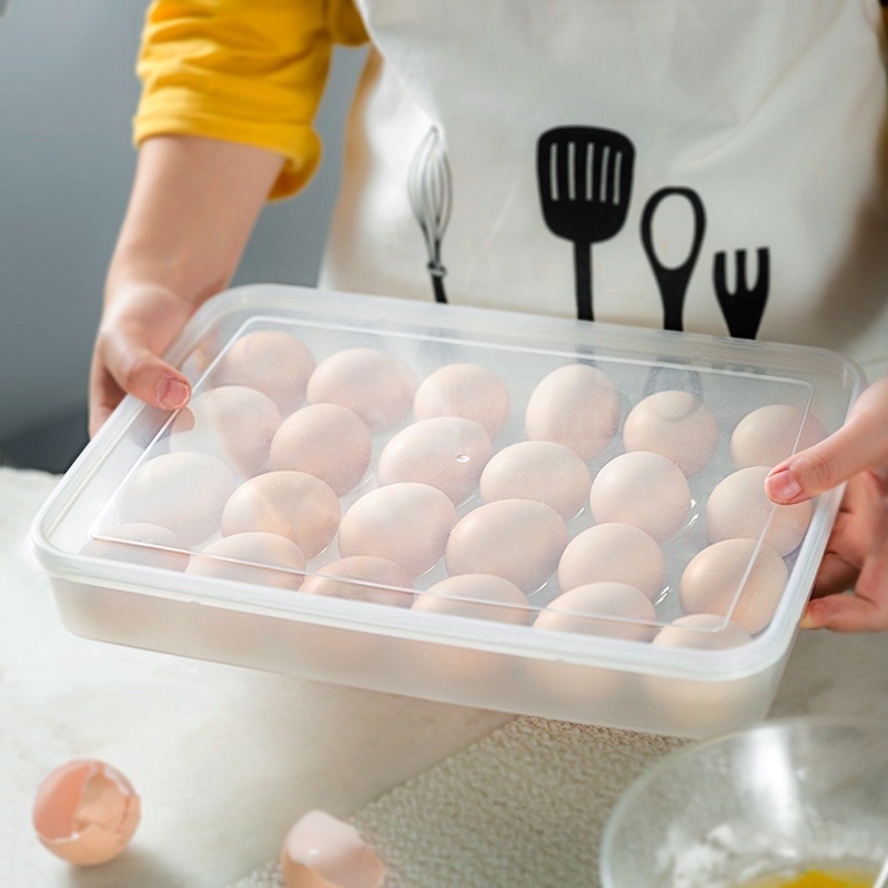 Hộp đựng trứng 24 quả Nhựa Việt Nhật 6786 bảo quản trứng có nắp đậy tiện dụng HA22
