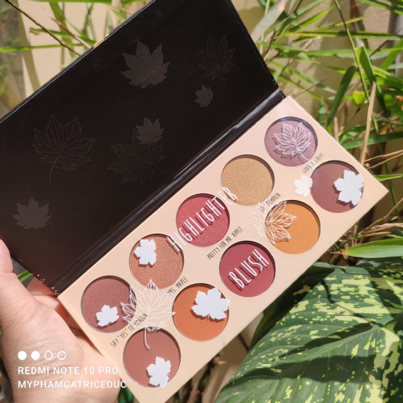 Bảng phấn má, bắt sáng Essence  FALL BACK TO NATURE(Đức)