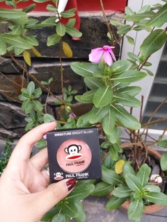 Phấn má hồng khỉ paul frank