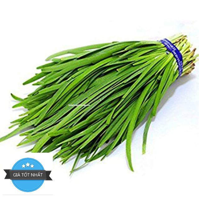 Gói 50 Hạt cây hẹ thơm