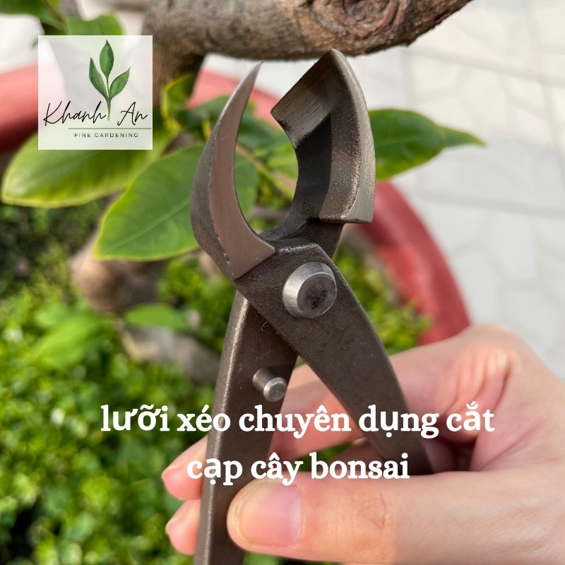 Kìm cạp xéo Nhật bonsai chuyên nghiệp, thép hợp kim/ Kềm cạp xéo thép đen dài 21cm, hàng chất lượng cao