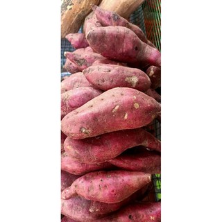 Khoai lang Nhật tươi 1kg