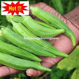 Hạt Giống Đậu Bắp Xanh 10 hạt