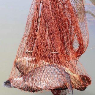Chài dù