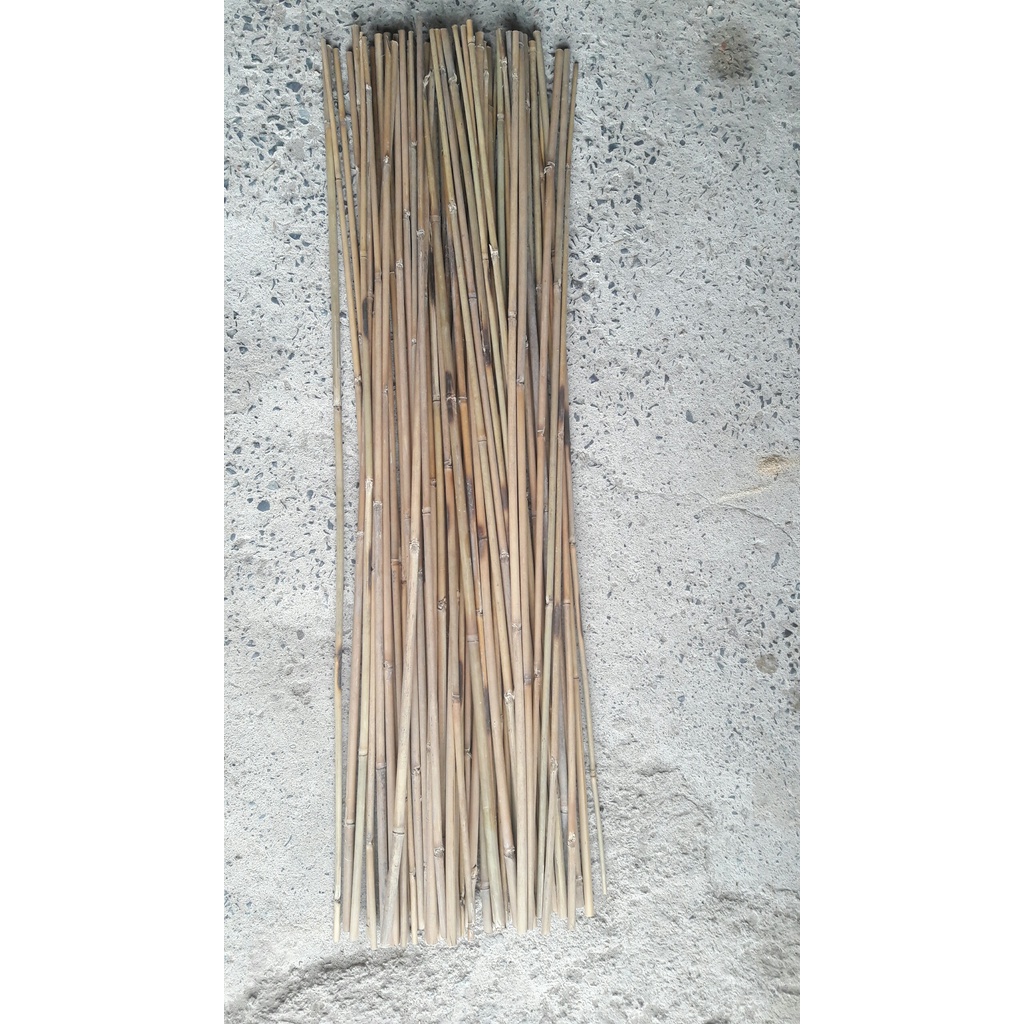 Cây trúc đường kính nhỏ làm giàn - citynoithat.com