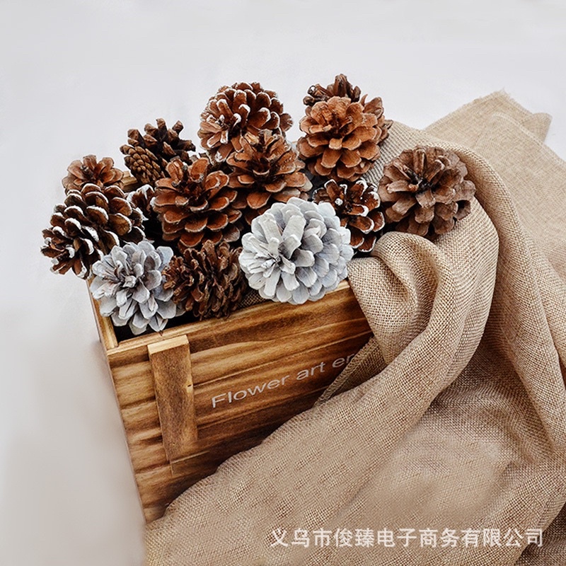 Quả thông khô trang trí phòng