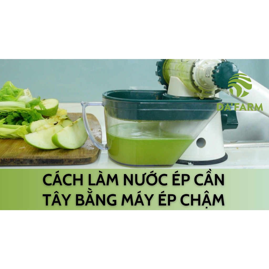 Máy ép chậm cỏ lúa mì bằng tay - Tặng 01 bịch hạt giống cỏ lúa mì - Lexen chính hãng (Healthy Juicer)