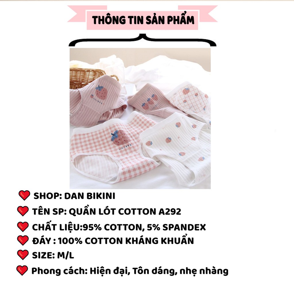 Quần Lót Nữ Cotton ❤️FREESHIP❤️ Set Cotton gân tăm Dâu hồng cạp chun mẫu A292 | BigBuy360 - bigbuy360.vn