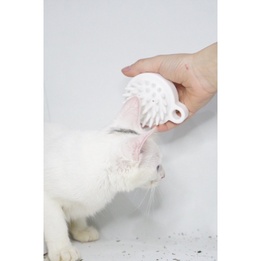 (B001) Lược Mát Xa Cho Thú Cưng Tạo Cảm Giác An Toàn royalpet