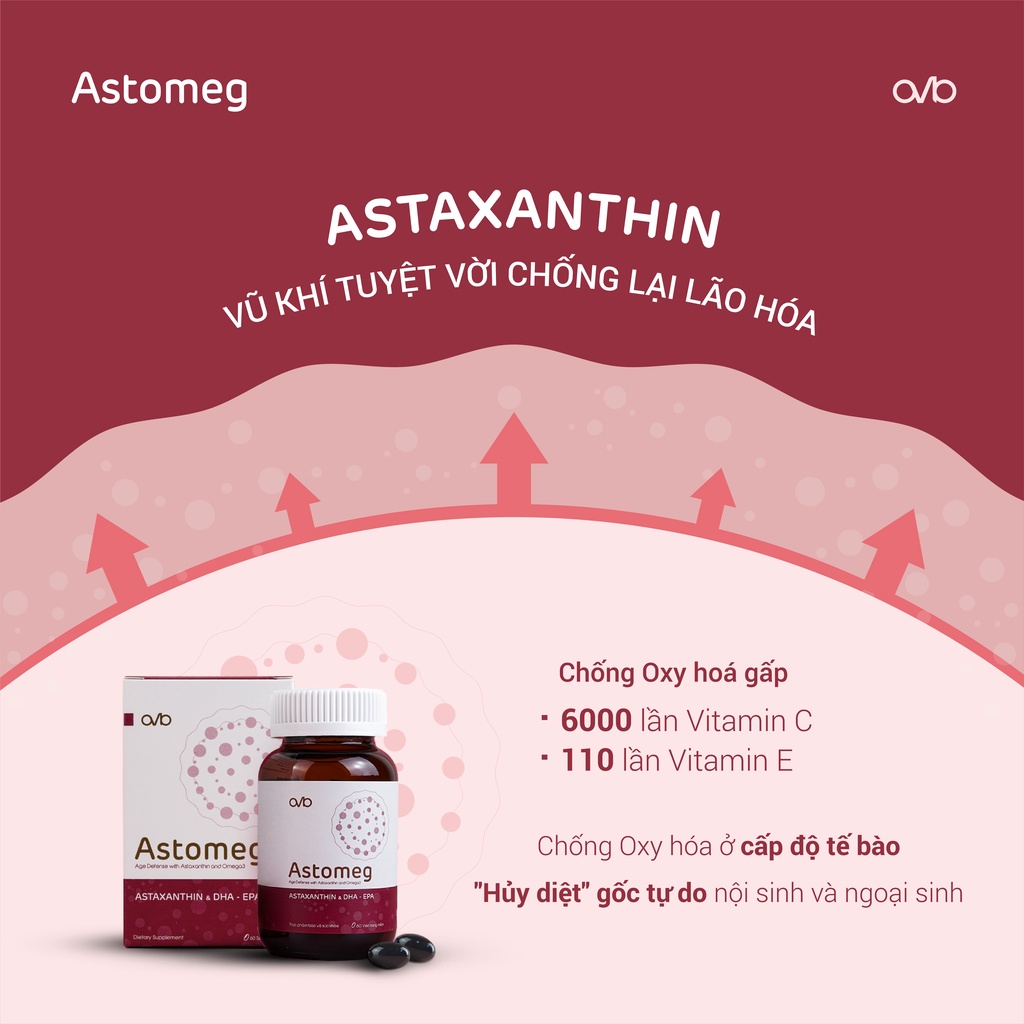 Astomeg Age Defense with Astaxanthin &  Omega3 - Hộp 60 viên chống lão hóa Astomeg AVB
