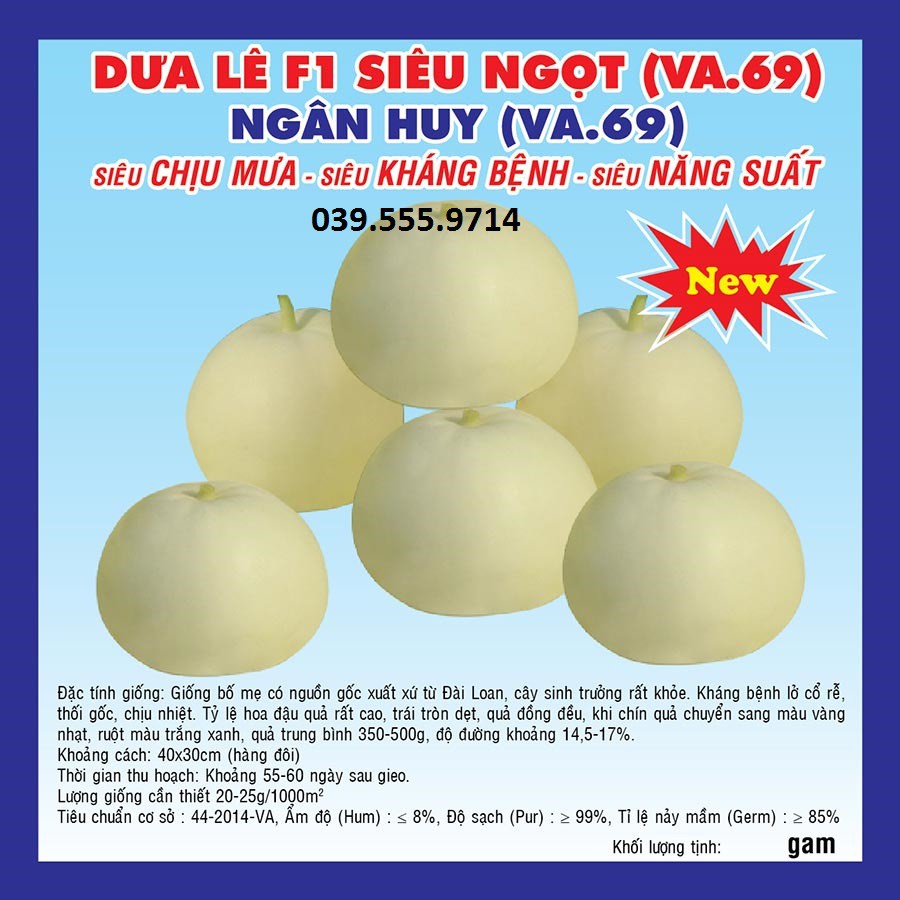 Hạt giống dưa lê F1 siêu ngọt Tân Ngân Huy (VA.96) – 5gam