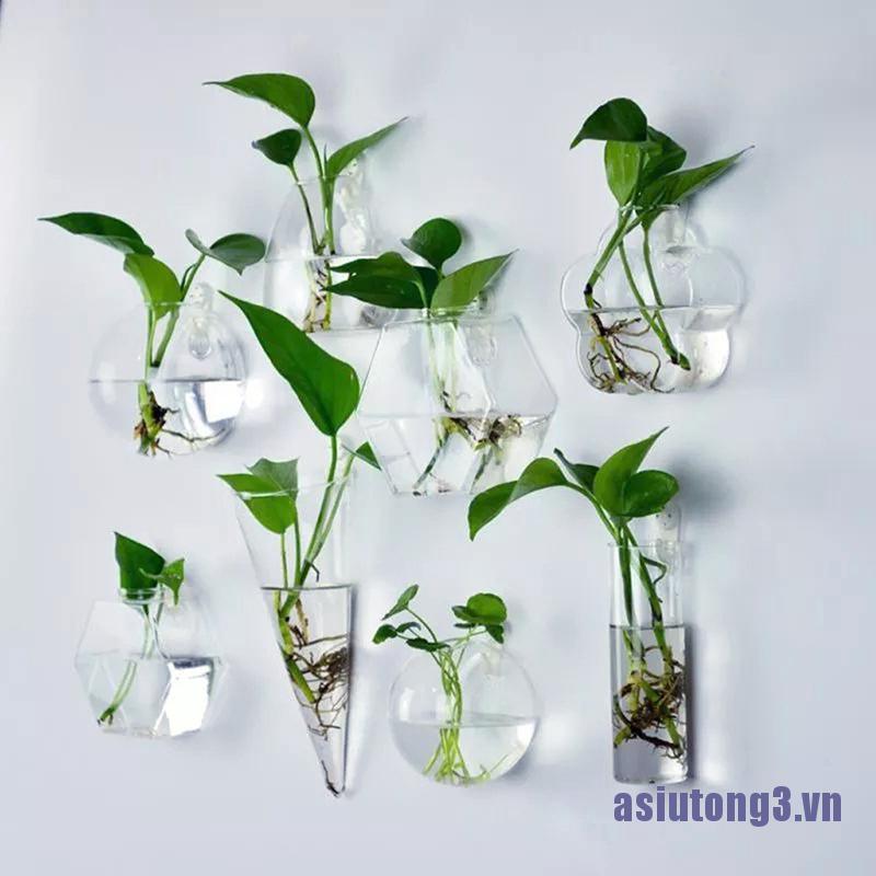 Hot! Bình Hoa Thủy Tinh Treo Tường