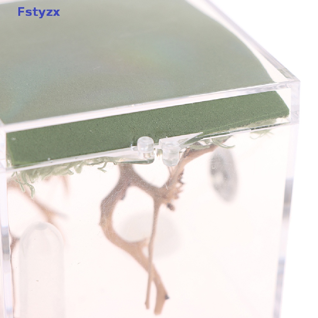 Fstyzx Hộp Nuôi Bò Sát / Côn Trùng Nhỏ Trong Suốt