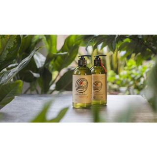 Nước rửa tay cocachua