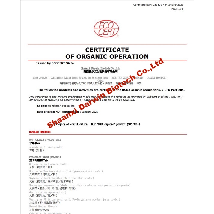 Táo đỏ Tân Cương size đại Organic sấy khô, Táo đỏ hữu cơ quả to cao cấp Racos