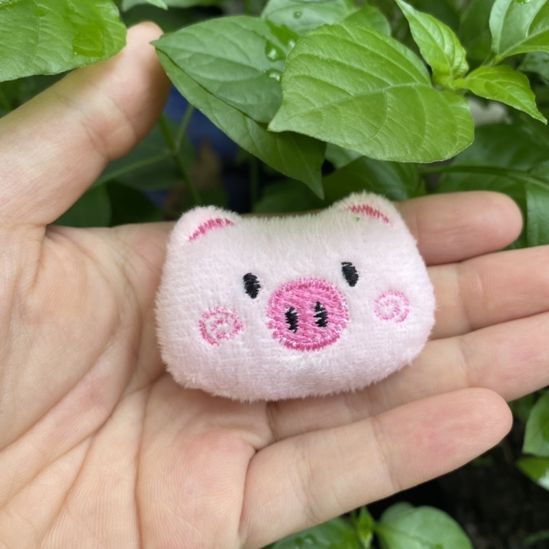 Ghim cài huy hiệu cài