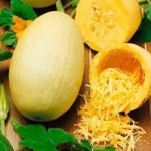 #Hạt_Giống_Bí_Mỳ_Sợi (Tặng Kích Mầm Và Phân Bón)