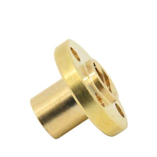 Đai ốc vít me T10