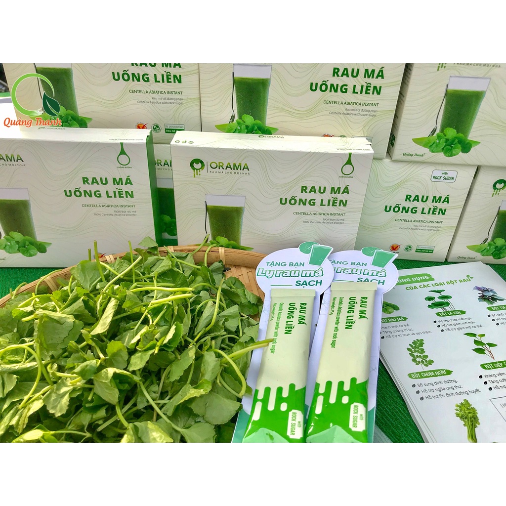 BỘT RAU MÁ QUẢNG THANH 100G