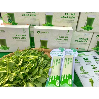 BỘT RAU MÁ QUẢNG THANH 100G