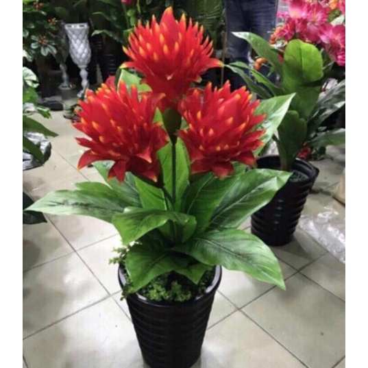Cây Lan Đuốc giả cảnh 80cm trang trí văn phong,phòng khách