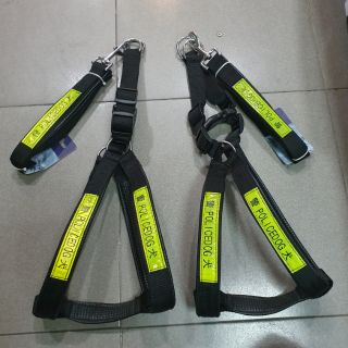 Dây đai police cao cấp dành cho chó lớn