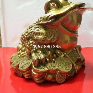 Cụ cóc 20x20, thiềm thừ đế tiền vàng