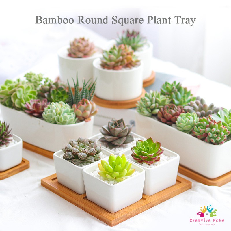 CH Bamboo Round Square Plant Tray Coaster Bowls Plates Succulents Pots Trays Base Stander Garden Decor
