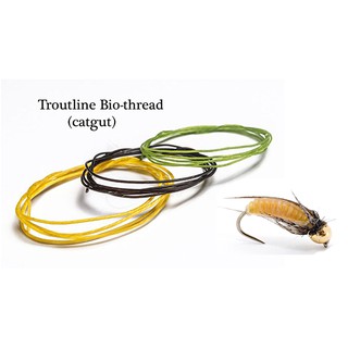Chỉ khâu tự tiêu Catgut