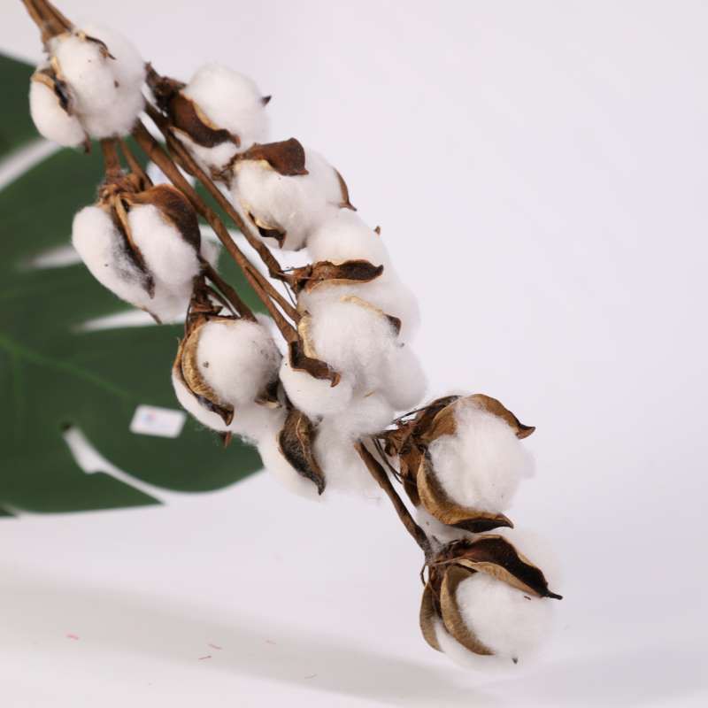 HOA BÔNG GÒN Trang trí Tết, Valentine Sinh Nhật quán cafe, phòng khách, phòng ngủ Decor