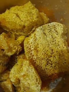 Mật ong rừng Điện Biên