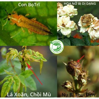 CHẾ PHẨM SINH HỌC TRỪ SÂU BỆNH