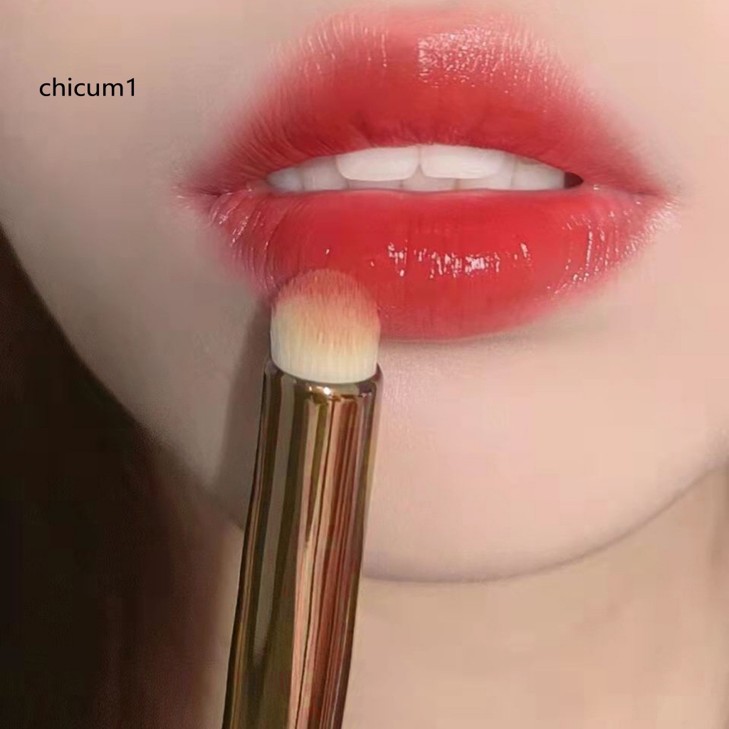 Cọ Trang Điểm CC Đầu Tròn Son Môi Không Nhòe Đa Năng Cho Bạn Gái