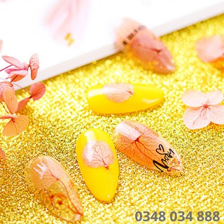 Hoa khô lụa cánh to ẩn móng nail trang trí móng