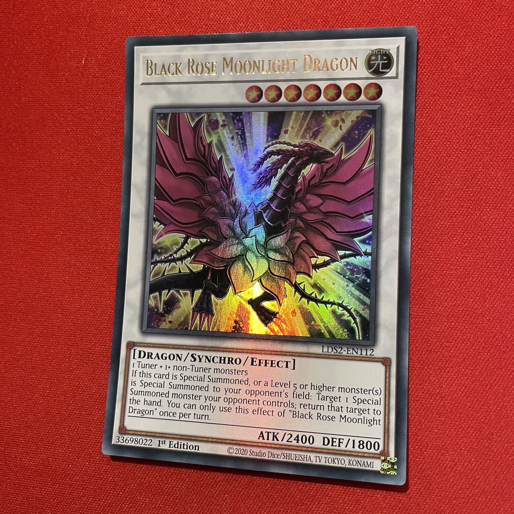 Black Rose Moonlight Dragon