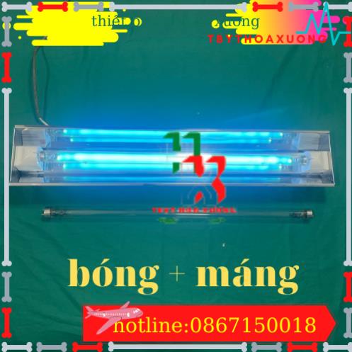 [Com Bo Máng + Bóng UV 60cm ] Đèn Cực Tím Diệt Khuẩn Không Khí Inox Việt Nam