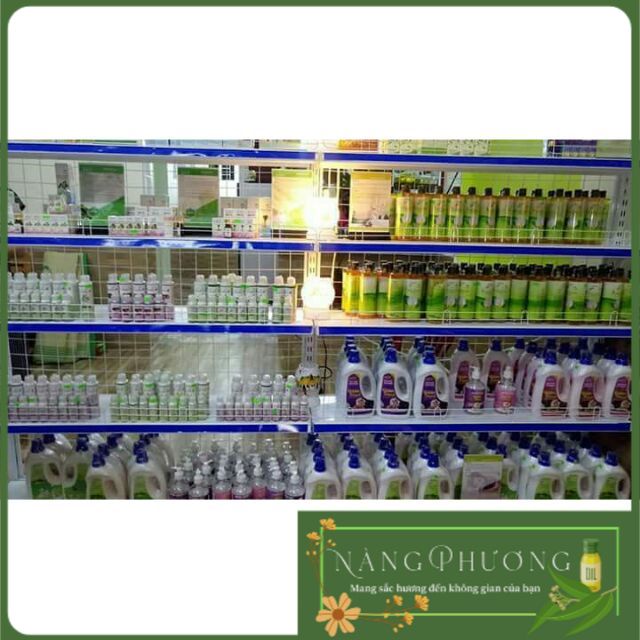Combo 40 đèn xông mini