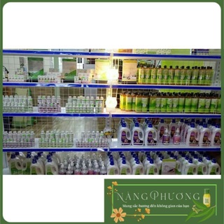 Combo 40 đèn xông mini