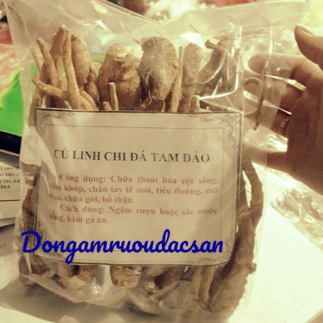 Củ linh chi đá Tam Đảo[1kg] củ Bạch Chỉ