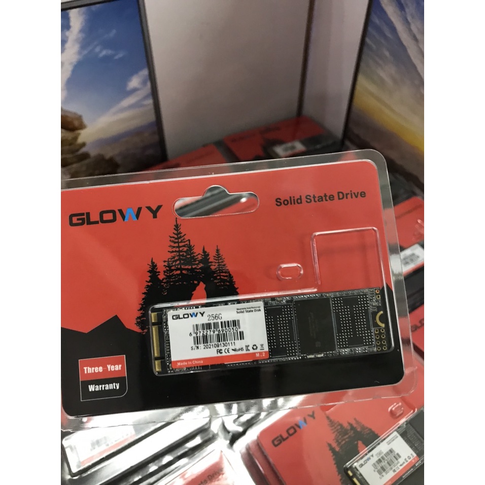 Ổ cứng SSD M2 SATA Gloway 256GB – CHÍNH HÃNG – Bảo hành 3 năm !!!