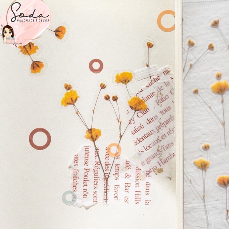 Sticker giả hoa khô trang trí khung trong suốt/Album Handmade