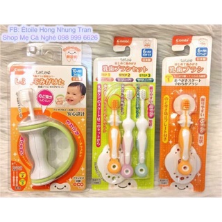Bàn chải bước 1 kèm tấm chắn teteo combi japan