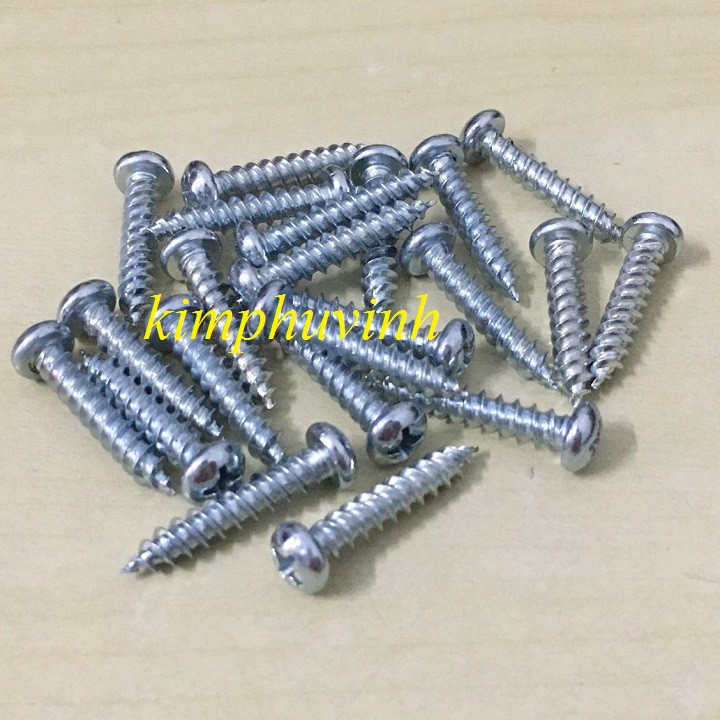 100 CON M5x25 mm - VÍT ĐẦU TRÒN - VÍT CỬA NHÔM - VÍT GẠO 2P5