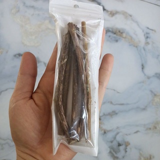 Set que gỗ catnip bạc hà cho mèo