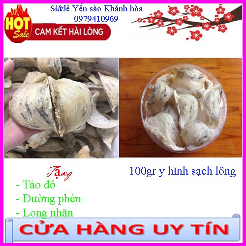 10gr Tổ yến sào thô loại VIP ít lông ⚡️𝐅𝐑𝐄𝐄 𝐒𝐇𝐈𝐏⚡️Tặng kèm - Táo đỏ - Đường phèn - Hạt chia