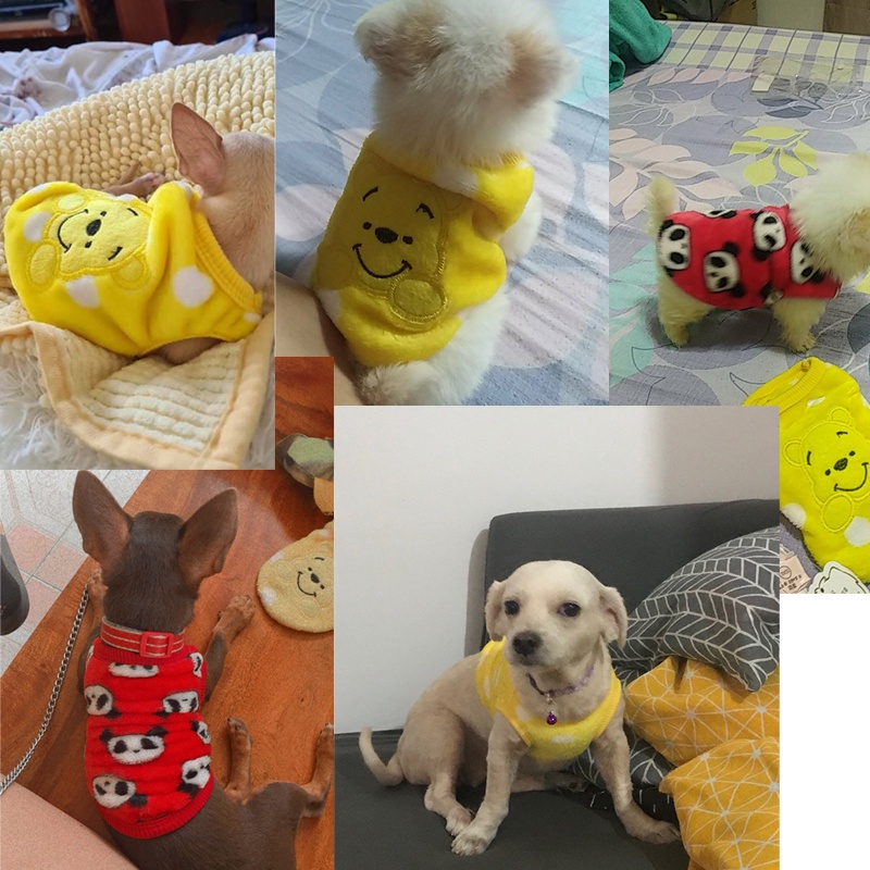 Áo Không Tay Giữ Ấm Cho Thú Cưng Kiểu Dáng Dễ Thương