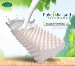 Gối cao su non Ventry Thái Lan