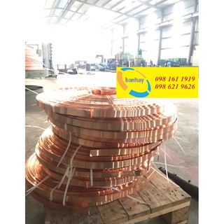 Băng đồng tiếp địa 25x3 dài 1m