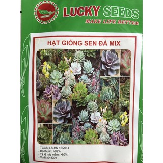 Hạt giống Sen đá Mix  🌱